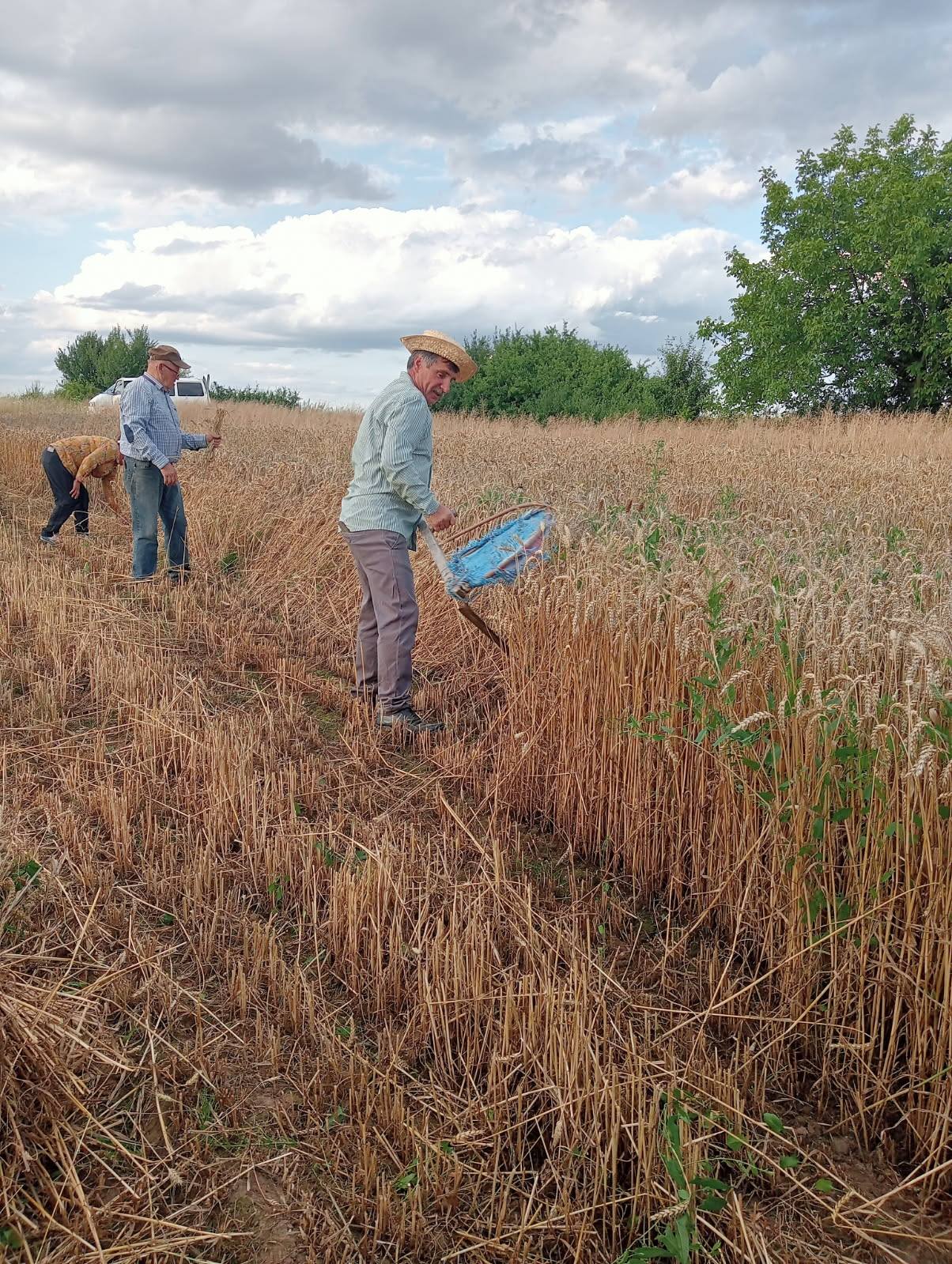 Zażynki w Rozięcinie 2025